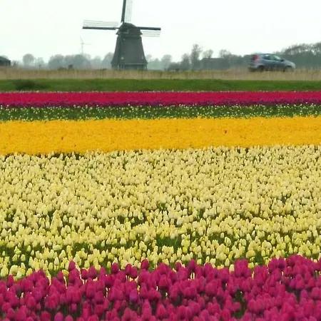 De Blenck 66 By Interhome Callantsoog