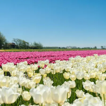 De Blenck 66 By Interhome Tatil Evi