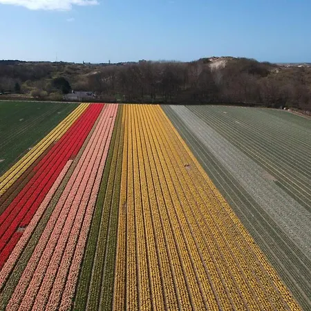 Tatil Evi De Blenck 66 By Interhome